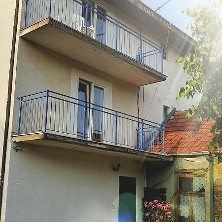 Vila Lav Sokobanja Exterior foto